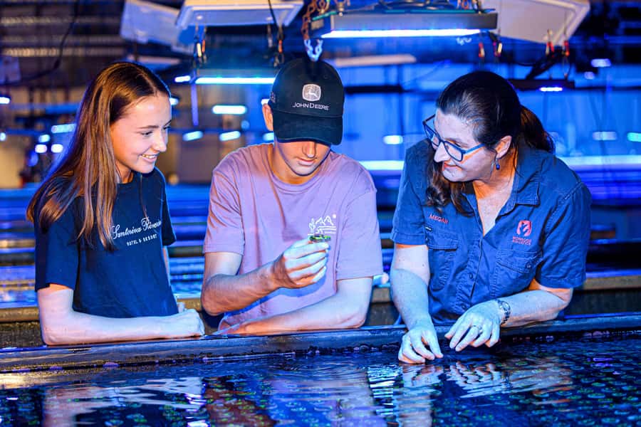 Bundaberg: Monsoon Aquatics Coral Farm Guided Tour - The First Look Inside: Coral Growing Setups You Can Actually Understand