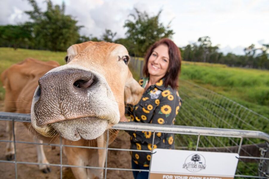 Bundaberg: Splitters Farm Guided Tour - The Working-Farm Stories: Why the Tour Feels Worth It