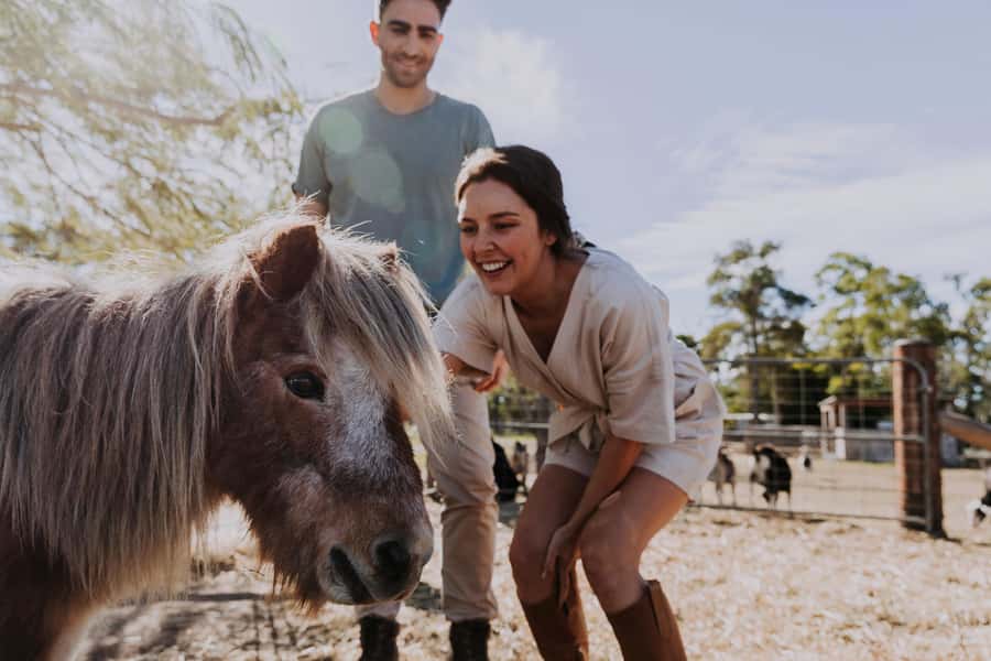 Bundaberg: Splitters Farm Guided Tour - Feeding Over 400 Rescued Animals Up Close