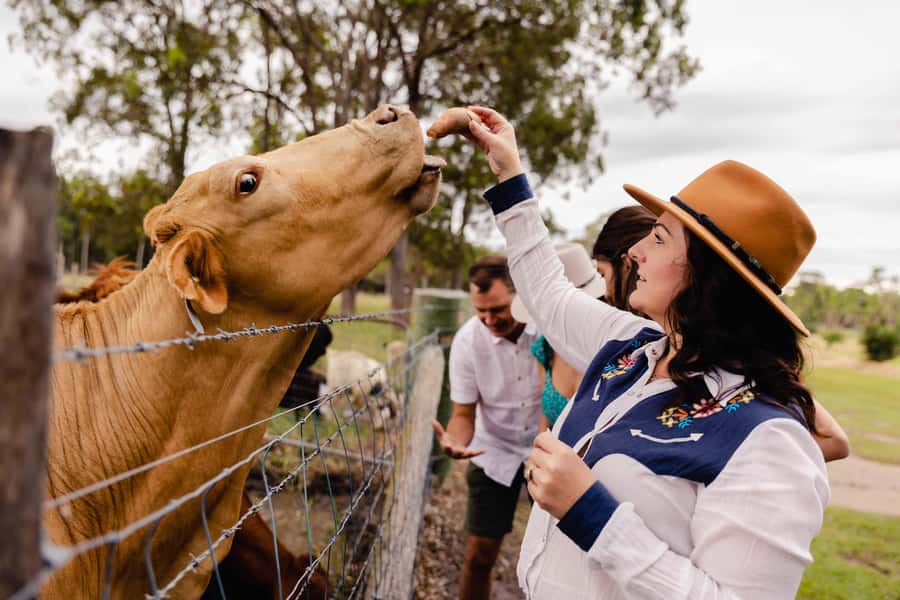Bundaberg: Splitters Farm Guided Tour - Egg Collecting and Farm Product Moments
