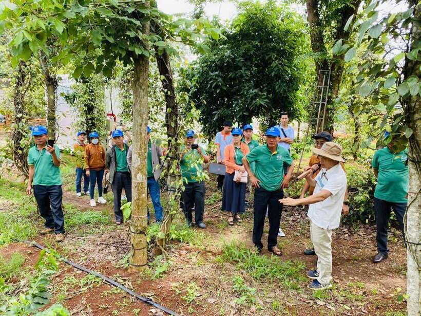 Buon Ma Thuot: Bean to Brew Coffee Farm Tour with Tasting - Irrigation Systems: Traditional Water Control Meets Efficiency