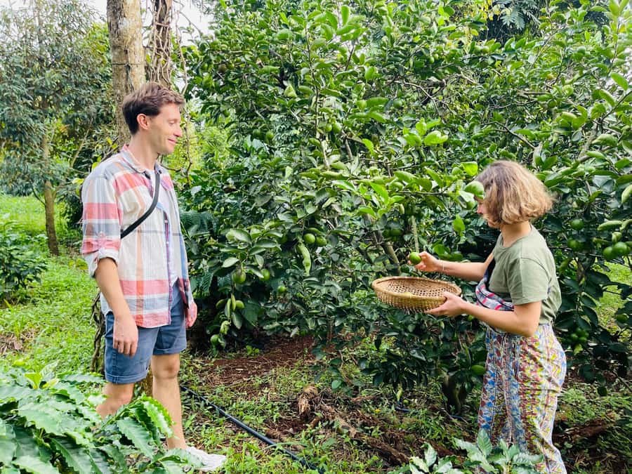 Buon Ma Thuot: Coffee Farm Tour (Bean to Brew) with Pickup - Key things worth getting excited about