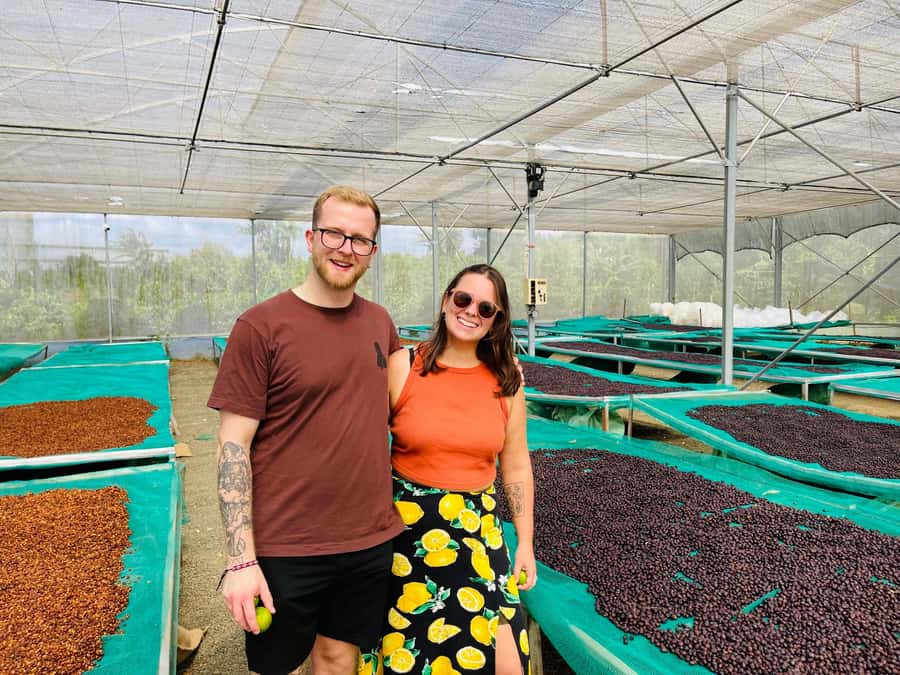Buon Ma Thuot: Coffee Farm Tour (Bean to Brew) with Pickup - Buon Ma Thuot coffee, from tree care to your cup