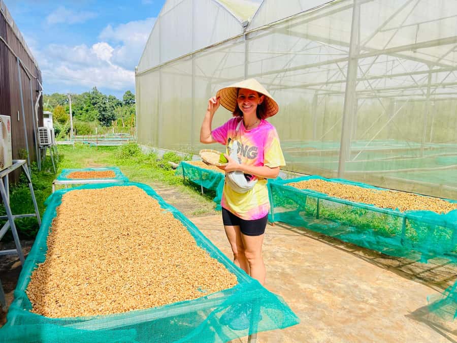 Buon Ma Thuot: Coffee Farm Tour (Bean to Brew) with Pickup - Coffee tasting: black or milk, brewed by machine or filter