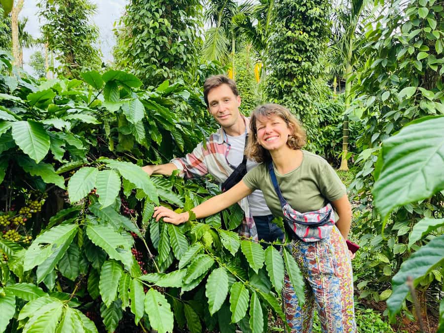 Buon Ma Thuot: Coffee Farm Tour (Bean to Brew) with Pickup - Pickup and the short ride out of Buon Ma Thuot center