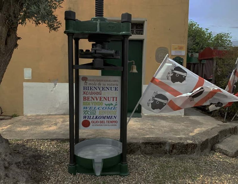 Cagliari Olive Oil Farm & Tasting (Since 1600, 20 Min Away) - Key Highlights You’ll Remember