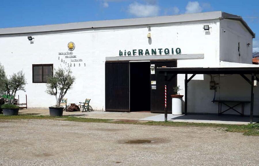 Cagliari Olive Oil Farm & Tasting (Since 1600, 20 Min Away) - A 90-Minute Olive Oil Masterclass Just 20 Minutes From Cagliari