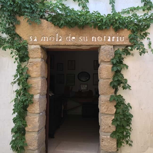 Cagliari Olive Oil Farm & Tasting (Since 1600, 20 Min Away) - Price, Value, and Why This Isn’t Just a Tasting