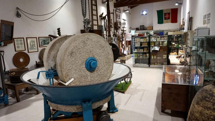 Cagliari Olive Oil Farm & Tasting (Since 1600, 20 Min Away) - Should You Book the Sa Mola de su Notariu Olive Oil Farm Tour?