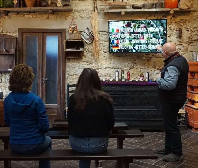 Cagliari Olive Oil Farm & Tasting (Since 1600, 20 Min Away) - Touring Olio del Tempio: From 6,000 Olive Trees to Bottles