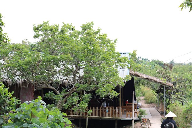 Can Tho day tour: fruit garden&floating fish farm in Son islet - What you should bring for a smoother Mekong afternoon