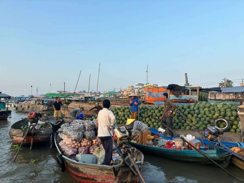 Can Tho: Floating Market, Canal, Cacao Farm & Mekong' Life - Quick hits: what you will remember most