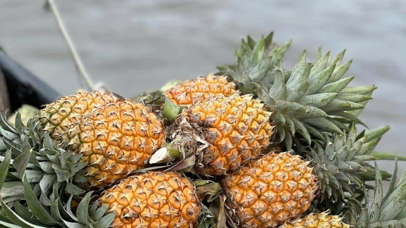 Can Tho: Floating Market explore local life, Mekong farm - Cái Răng floating market: breakfast, fruit, and real river routine