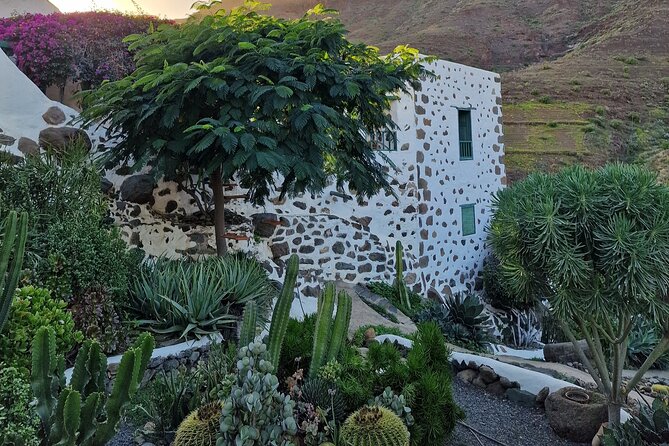 Canarian farmhouse in Mogan, mango farm and vermouth factory - What to expect from the pacing and small-group format