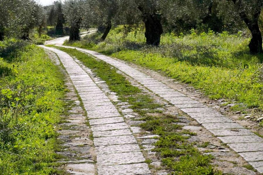 Catania: Pozzo di Gaspare Farm Guided Tour with Tastings - Key takeaways before you go