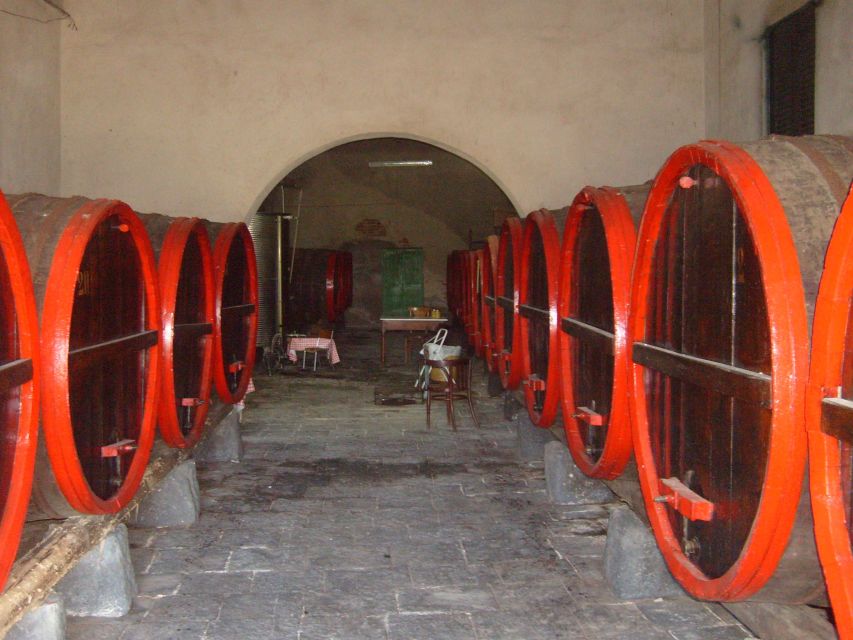 Catania: Pozzo di Gaspare Farm Guided Tour with Tastings - The ancient well stop: why water control matters here