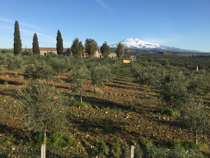 Catania: Pozzo di Gaspare Farm Guided Tour with Tastings - Almonds and the orchard rhythm