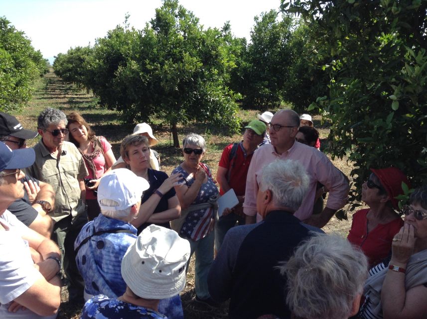 Catania: Pozzo di Gaspare Farm Guided Tour with Tastings - The tasting: EVO oil plus cheeses and cured meats