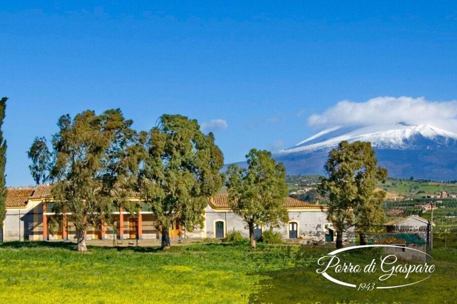 Catania: Pozzo di Gaspare Farm Guided Tour with Tastings - Price and value: is $41 worth it?