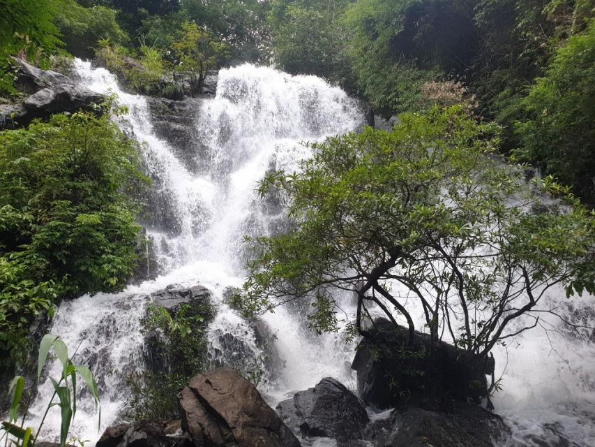 Cave Explore- Paradise Cave & Phong Nha Cave - Duck Farm - Son River boat ride: a calmer rhythm before Phong Nha Cave