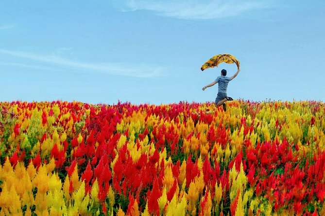 Cebu: Private Twin City Tour +Temple of Leah + Sirao Flower Farm - Cebu twin-city day plan: how the 6–8 hours usually feel