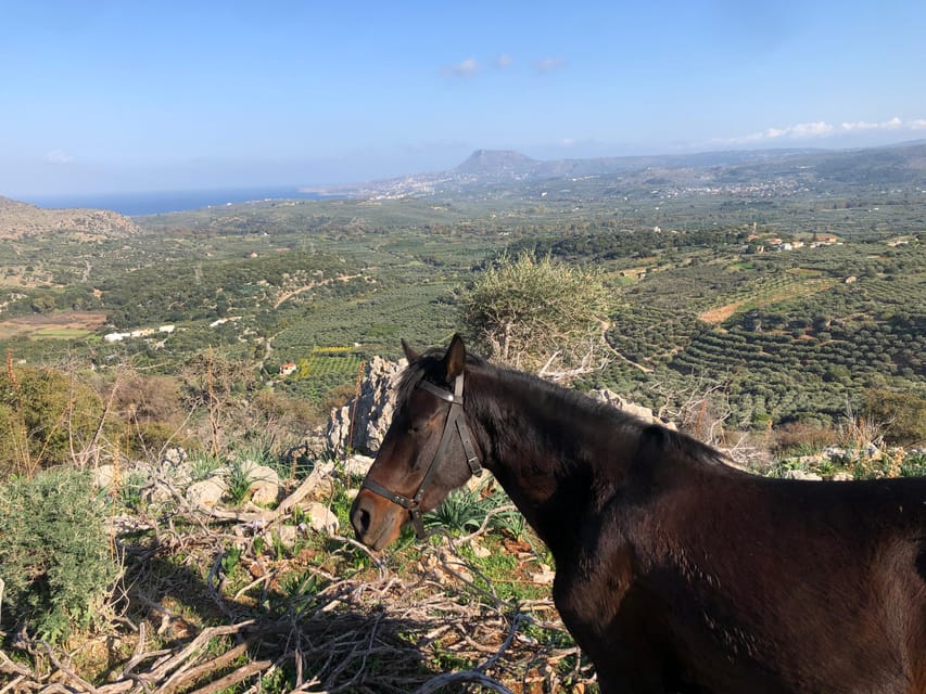 Chania Area: Cooking Class at a Farm in Stylos Village - Price and Value at $129: What You’re Paying For