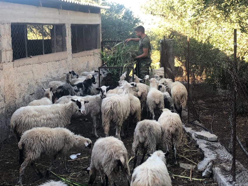Chania Area: Cooking Class at a Farm in Stylos Village - FAQ
