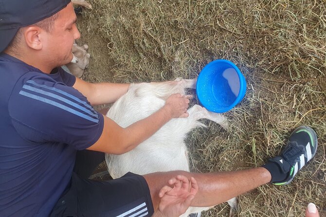 Chania Area: Cooking Class at a Farm in Stylos Village (organic) - Meet the team: the hosts who make it feel personal