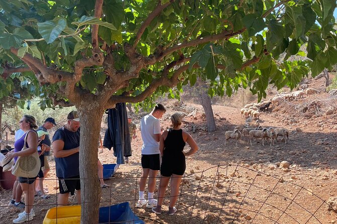 Chania Area: Cooking Class at a Farm in Stylos Village (organic) - Coffee first, then lemonade and photos (yes, that view)