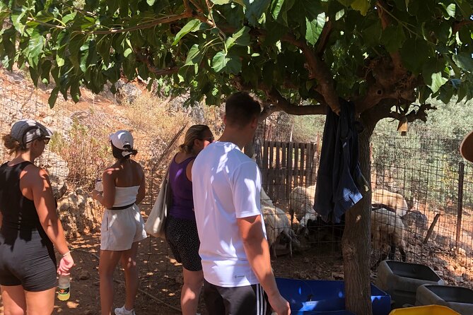 Chania Area: Cooking Class at a Farm in Stylos Village (organic) - Cooking with Sofia: hands-on dinner work you can repeat