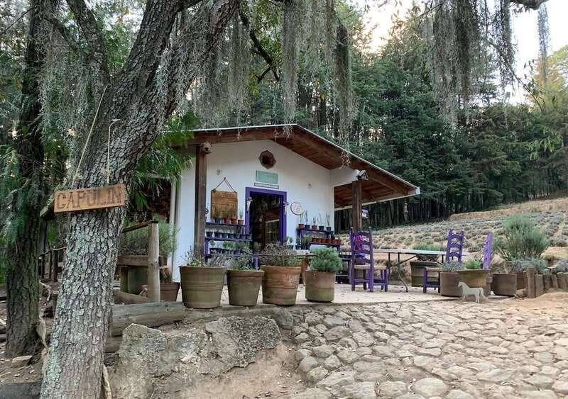 Chautla's Castle, Lavender Farm, and Valquirico Private Tour - Planning Your Day Around Chautla’s Castle and Lavender