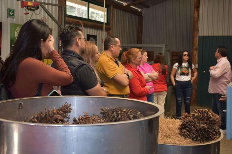 Chautla's Castle, Lavender Farm, and Valquirico Private Tour - Making Your Own Natural Soap at the Lavender Ranch