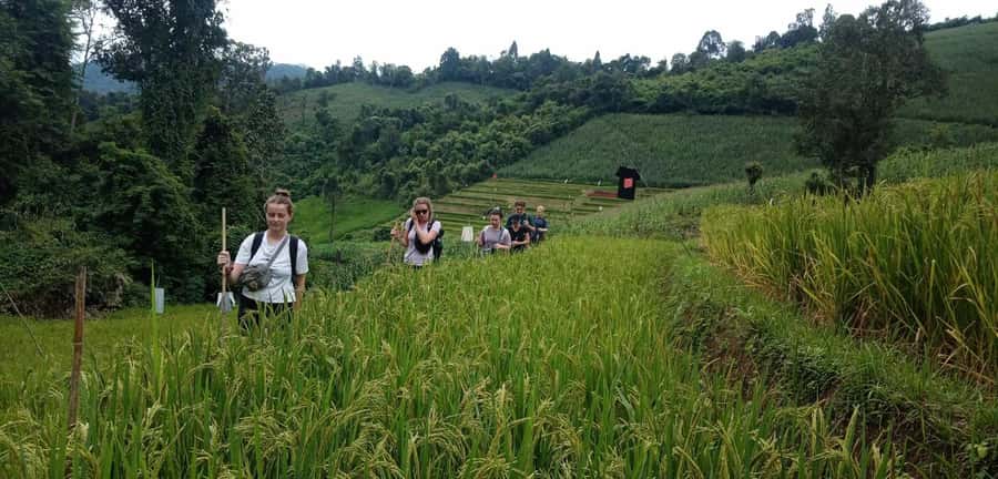 Chiang Mai: 2-Day Jungle Trek with Elephant Farm & Raft Ride - Key Things That Make This 2-Day Chiang Mai Jungle Adventure Worth It