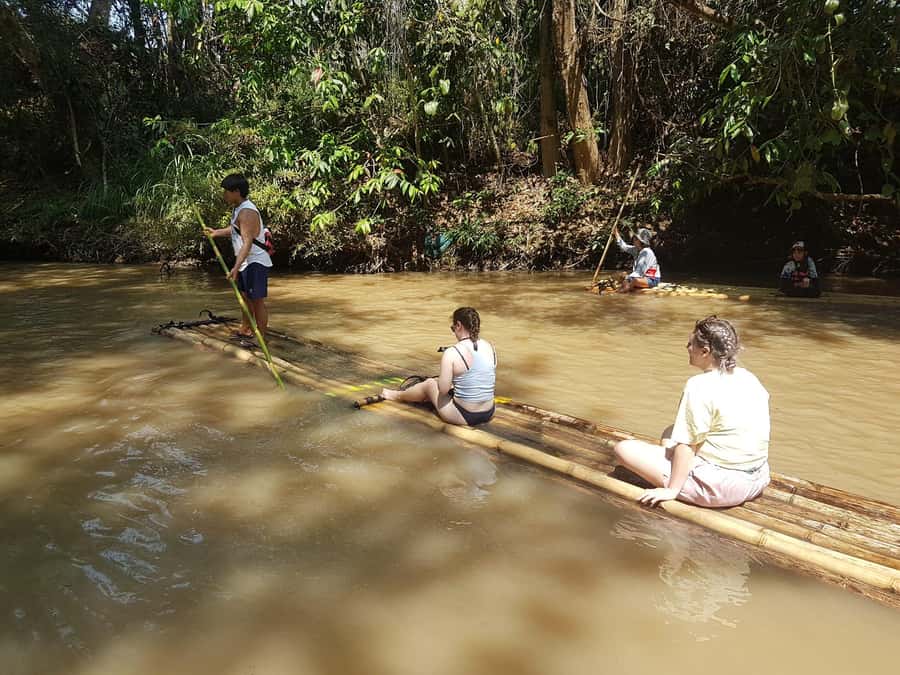 Chiang Mai: 2-Day Jungle Trek with Elephant Farm & Raft Ride - Day Two: Breakfast in the Village, Trek to the Sanctuary, and Elephant Time