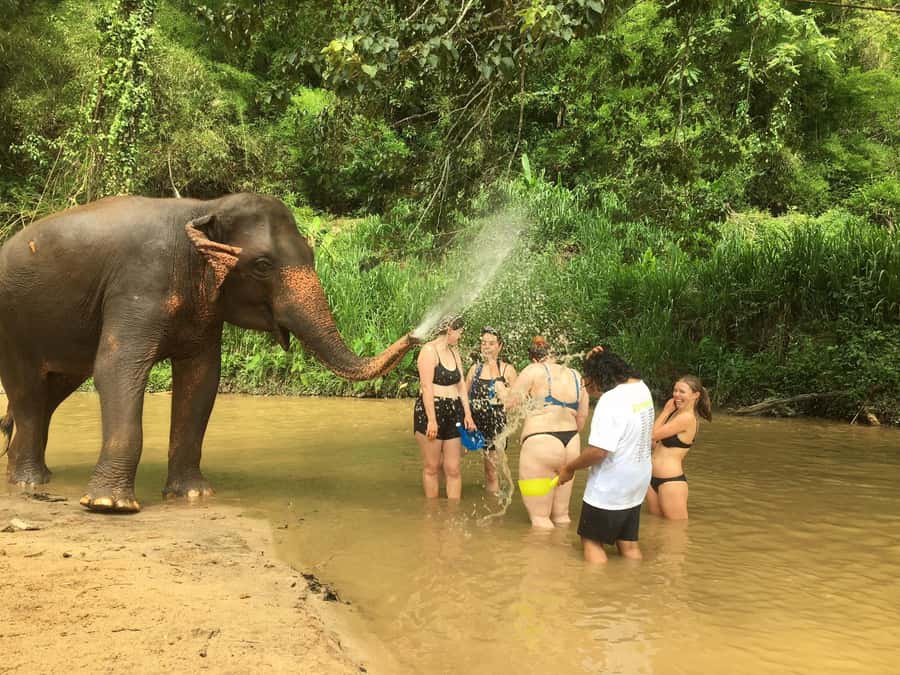 Chiang Mai: 2-Day Jungle Trek with Elephant Farm & Raft Ride - Getting Out of Chiang Mai Old Town and Into Mae Wang’s Jungle