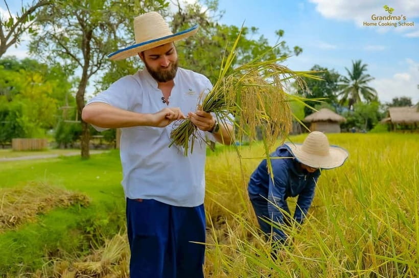 Chiang Mai: Authentic Cooking Class with Market & Farm Visit - The meal you eat is the point, and it’s a lot
