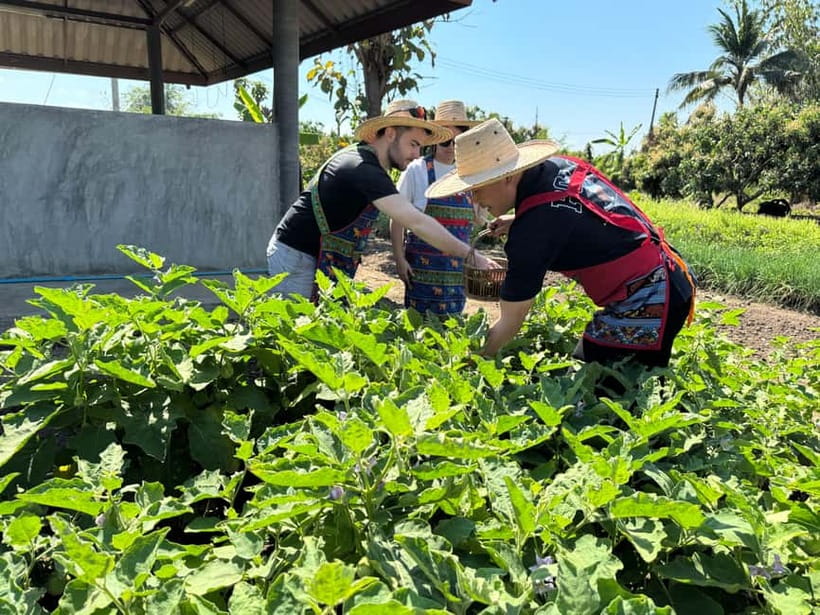 Chiang Mai : Cook in Farm, Market tour & Go by a Local Train - Hands-on Thai cooking: balance, technique, and patience