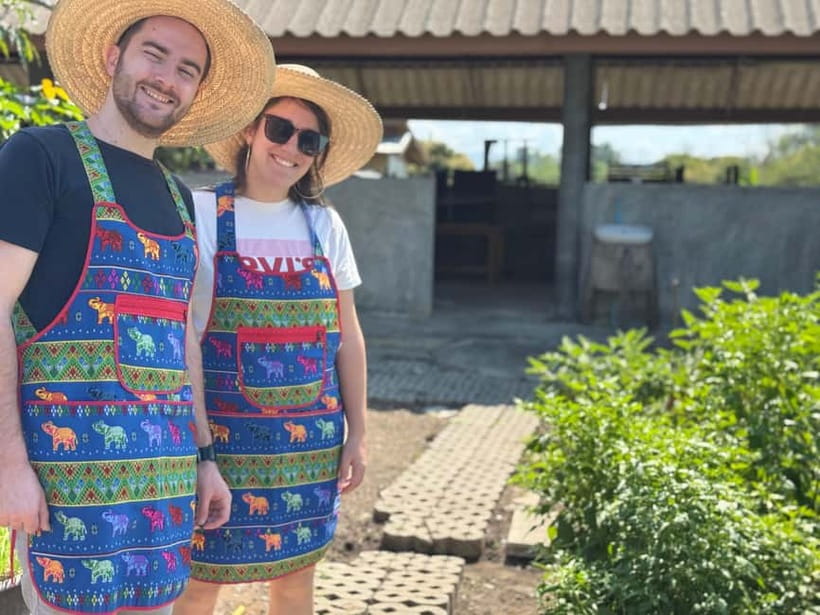 Chiang Mai : Cook in Farm, Market tour & Go by a Local Train - Price and value: where the $57 makes sense