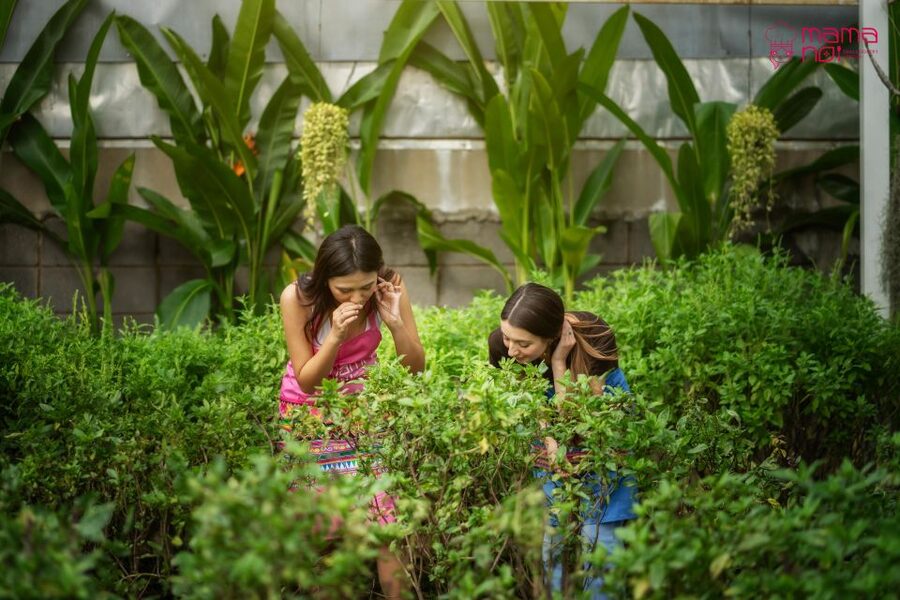 Chiang Mai: Cooking Class with Organic Farm at Mama Noi - Cooking class in the kitchen: choose, chop, and finish