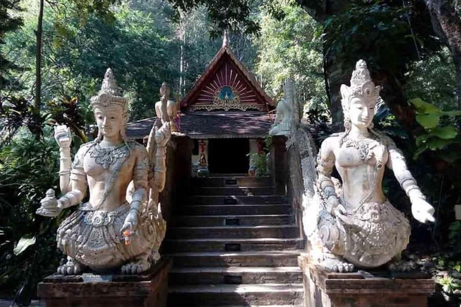 Chiang Mai: Doi Suthep, Orchid Farm and Waterfall with Lunch - Key things that make this tour worth your time