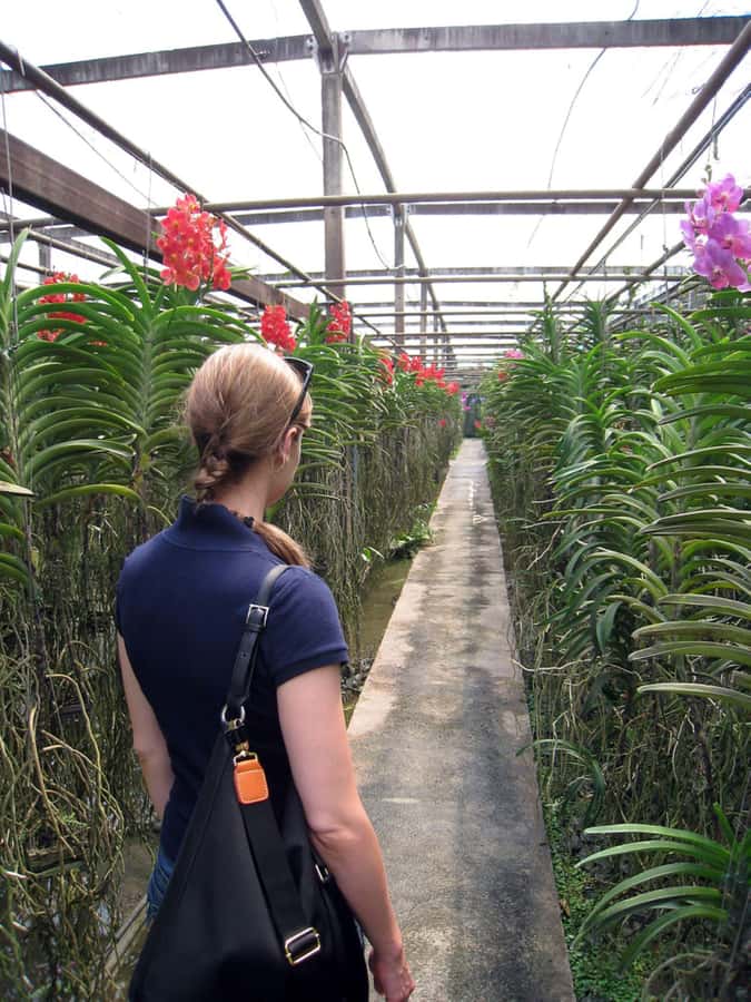 Chiang Mai: Doi Suthep, Orchid Farm and Waterfall with Lunch - The Karen Village option: add cultural time if it fits your day