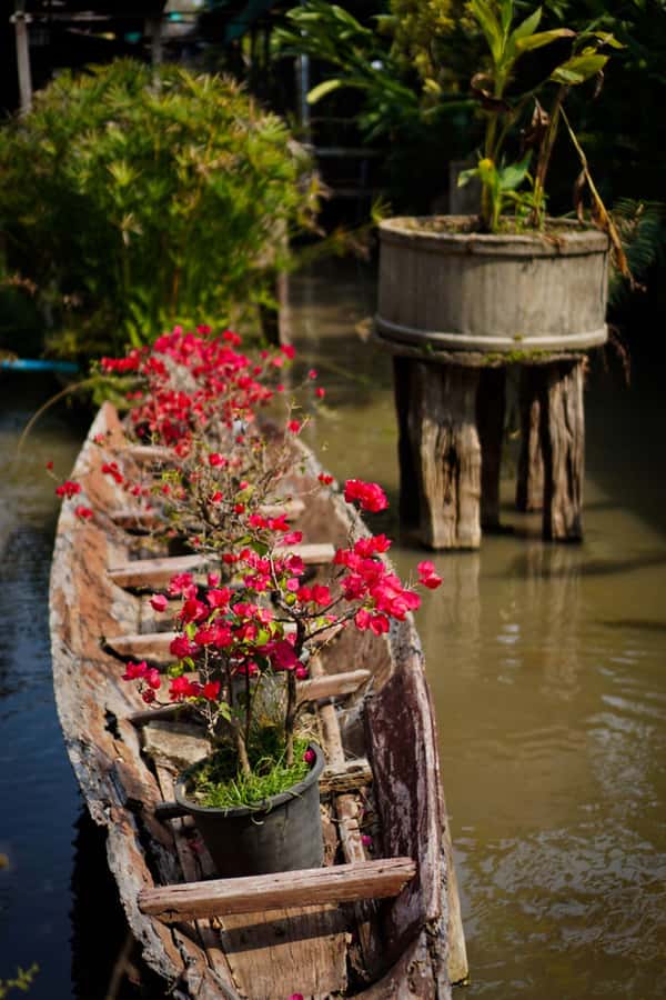 Chiang Mai: Doi Suthep, Orchid Farm and Waterfall with Lunch - Guide and group size: what small-group tourism feels like here