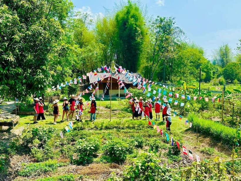 Chiang Mai: Half Day Cooking Class at Organic Farm - Key points you’ll care about before you go
