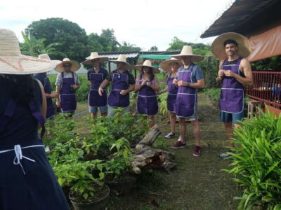 Chiang Mai: Half Day Cooking Class at Organic Farm - Choosing the garden option: city organic, yard garden, or farm outside town
