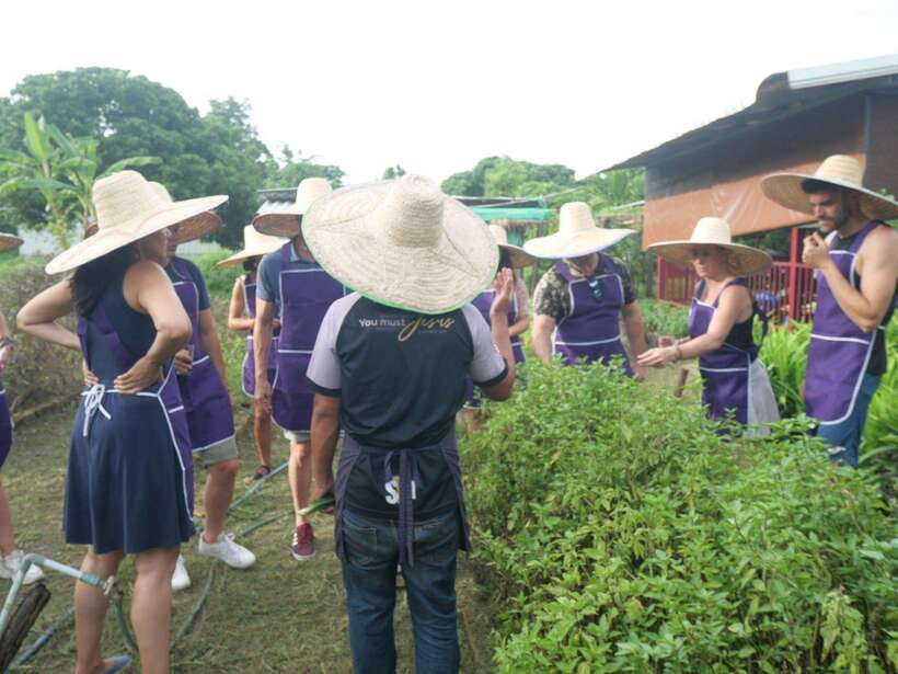 Chiang Mai: Half Day Cooking Class at Organic Farm - Eating what you cooked: garden-style Thai meals