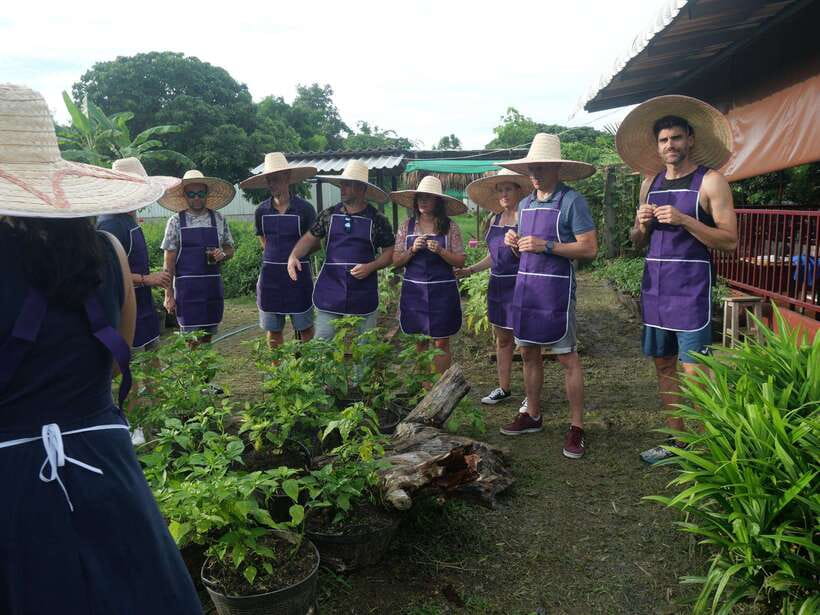 Chiang Mai: Half Day Cooking Class at Organic Farm - Choosing the garden option: city organic, yard garden, or farm outside town