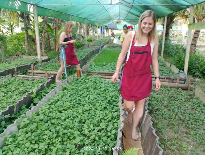Chiang Rai:Lanna Home Cooking Class at Give Green Farm House - The Meal: Eating What You Make in a Nice Setting