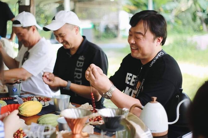 Chiangmai Coffee Farm Tour - Processing explained: from cherry to coffee you can roast