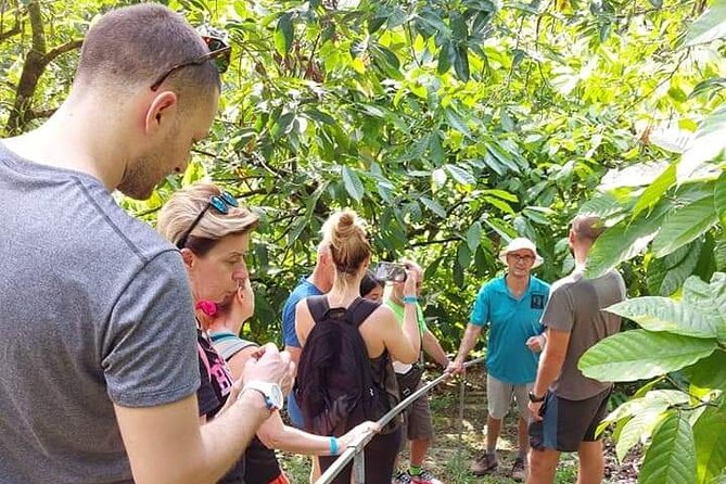 Chocolate and Coffee Tour Farm Don Jorge - Key things I’d put on your must-do list