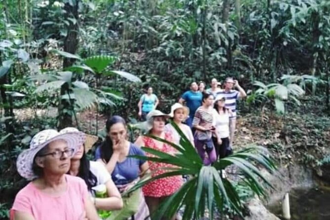 Chocolate and Coffee Tour Farm Don Jorge - Chocolate from cacao to bars: what you’ll do (and why it’s worth it)